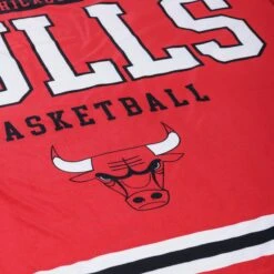 FOCO Chicago Bulls Team Property Sherpa Plush Throw Blanket -FOCO Store BKTNBPLSHTPCBL g5