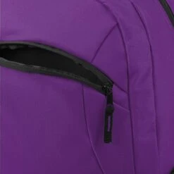 FOCO Los Angeles Lakers Action Backpack -FOCO Store BPNBACTLAL g6