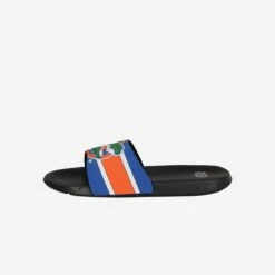 FOCO Florida Gators Striped Big Logo Raised Slide -FOCO Store FFSSNCSBL3DFL g4