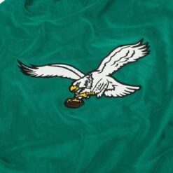 FOCO Philadelphia Eagles Kelly Green Retro Velour Hooded Sweatshirt -FOCO Store HDNFVLRV2PE g4