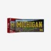 FOCO Michigan Wolverines Michigan Stadium 500 Piece Stadiumscape Jigsaw Puzzle PZLZ -FOCO Store PZLZNCJG500SCPMI p