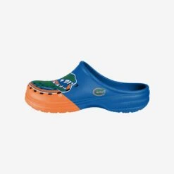 FOCO Florida Gators Colorblock Big Logo Clog