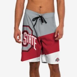 FOCO Ohio State Buckeyes Color Dive Boardshorts