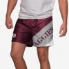 FOCO Texas A&M Aggies Big Logo 5.5" Swimming Trunks -FOCO Store SRTNCSMTKBLGTAM g3